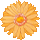 icon1