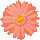 icon2