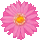 icon3