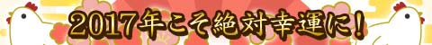 2017N΍K^ɁI