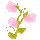 icon1
