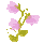 icon3