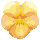icon1