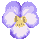 icon2