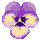 icon3