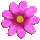 icon2