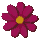 icon3