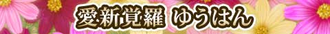 VoE䂤͂