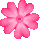 icon1