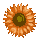 icon2