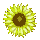 icon3