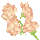 icon1