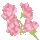 icon2