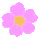 icon2