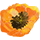 icon1