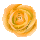 icon1