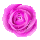 icon2