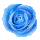 icon3