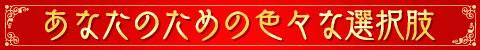 Ȃ̂߂̑I