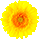 icon1