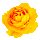 icon2