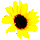 icon3