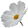 icon1
