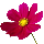 icon2