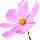 icon3