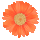 icon1