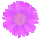 icon3