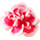 icon1
