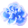 icon2