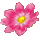 icon1