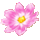 icon2