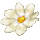 icon3