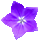 icon1