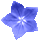 icon2
