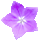icon3