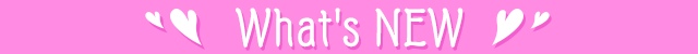̐_lDX