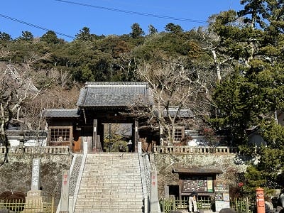 恋愛の神様DX