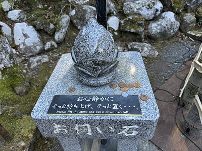 恋愛の神様DX