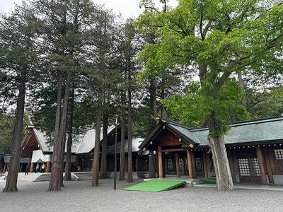 恋愛の神様DX