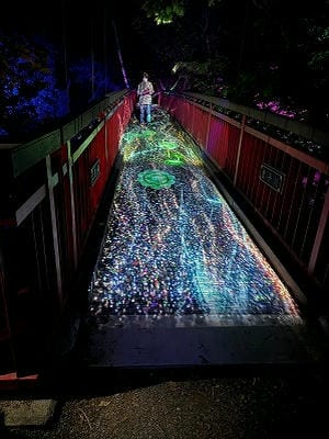 恋愛の神様DX