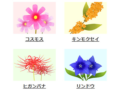 ̐_lDX