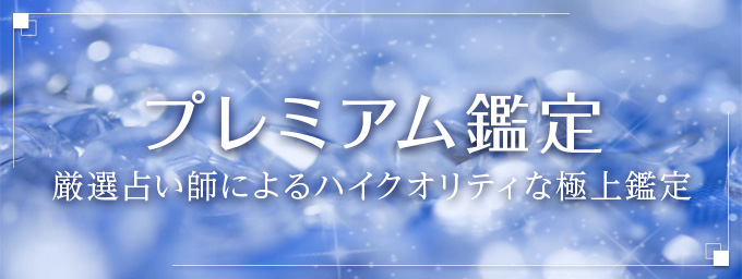 プレミアム鑑定