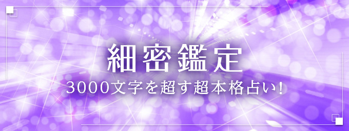 細密鑑定