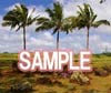 �ܲ/�˱܂��ް���İ�