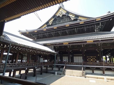 �����̐_�lDX