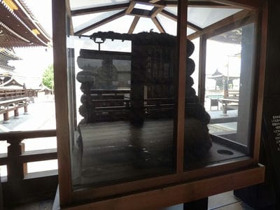 �����̐_�lDX